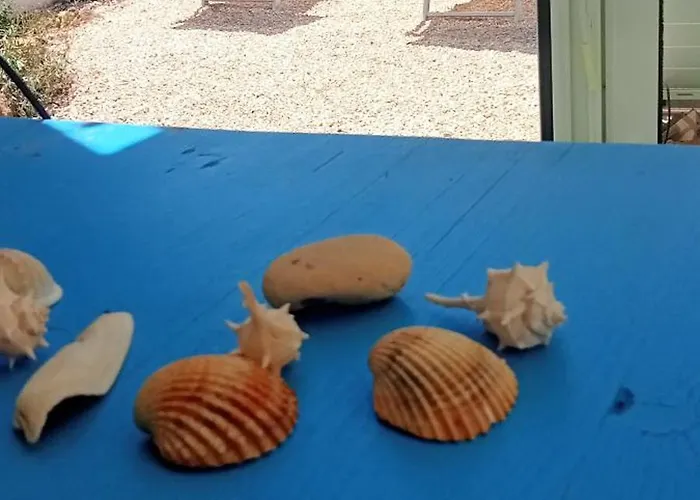 Scavuzzo Gæstehus Realmonte